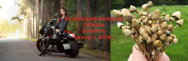 круглые Михайловка