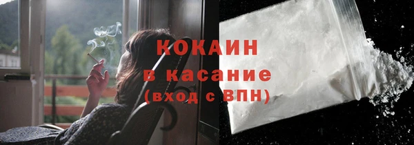 PSILOCYBIN Михайлов