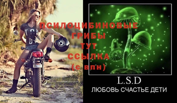 PSILOCYBIN Михайлов