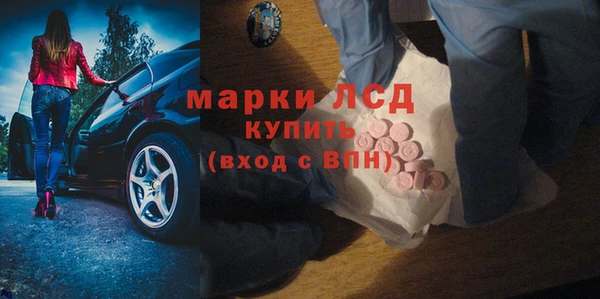 PSILOCYBIN Михайлов