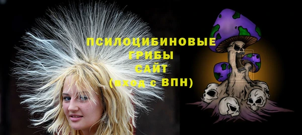 винт Михайловск