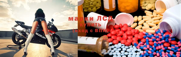 PSILOCYBIN Михайлов