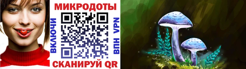 Купить где  Канск  Галлюциногенные грибы Psilocybe 