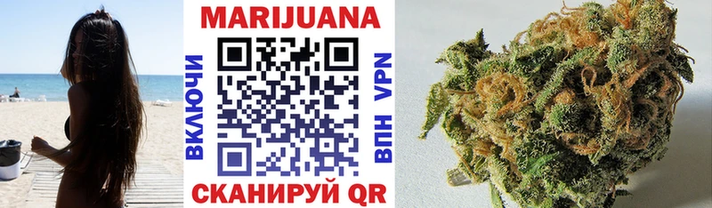 Купить закладки  Канск  Бошки марихуана SATIVA & INDICA 